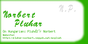 norbert pluhar business card